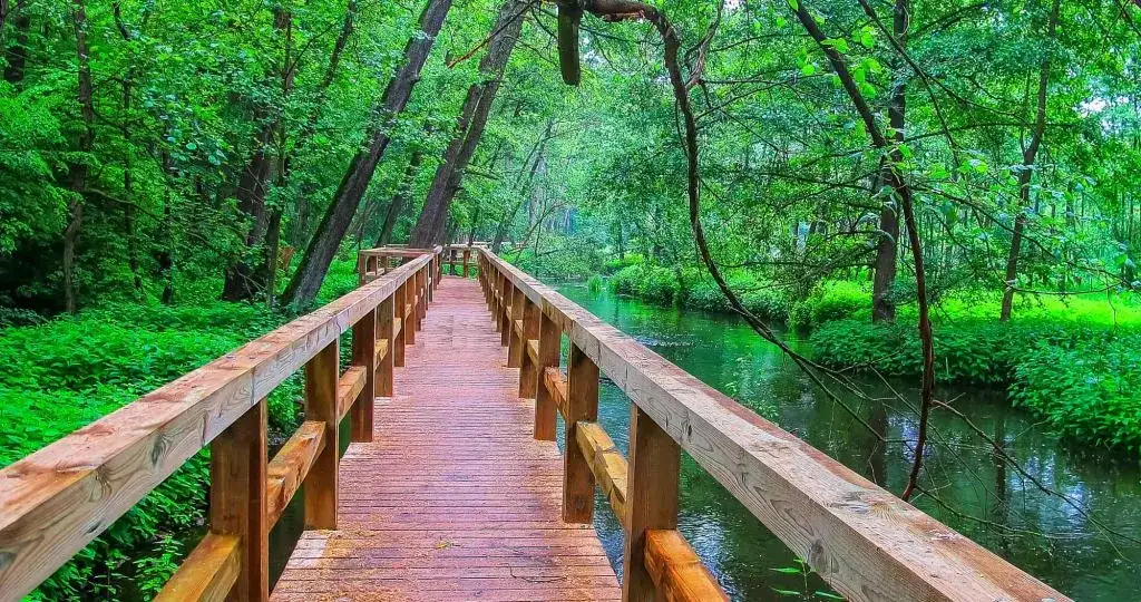 Radom: Niesłusznie pomijany? Odkryj jego atrakcje!