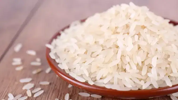 Jaki ryż dla psa? Biały czy brązowy? Ekspert radzi!