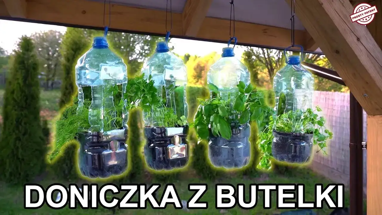 Jak zrobić kwietnik z butelek plastikowych i zadbać o rośliny