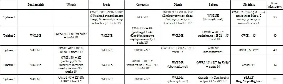 Gotowe plany treningowe: Bieganie od zera do 10 km za darmo