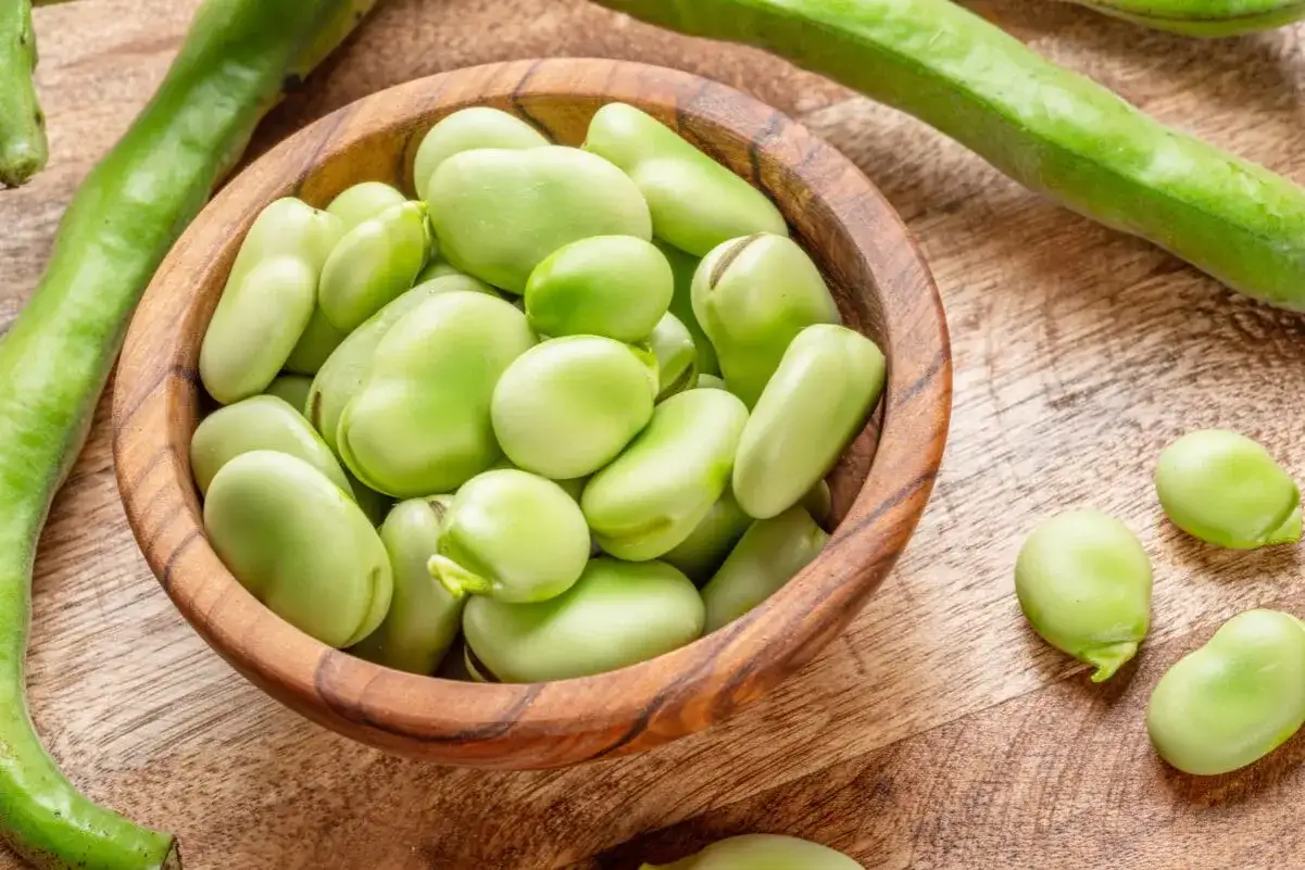 Świeży bób w drewnianej misce, gotowy do przygotowania. Idealny do letnich sałatek i dań. Jak gotować bób? Prosto i smacznie!