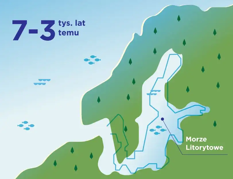 Zasolenie Bałtyku: Co musisz wiedzieć o jego poziomach i wpływie