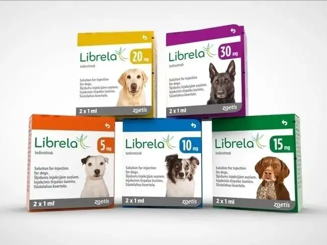 Librela dla psa: ulga w bólu stawów. Jak działa?