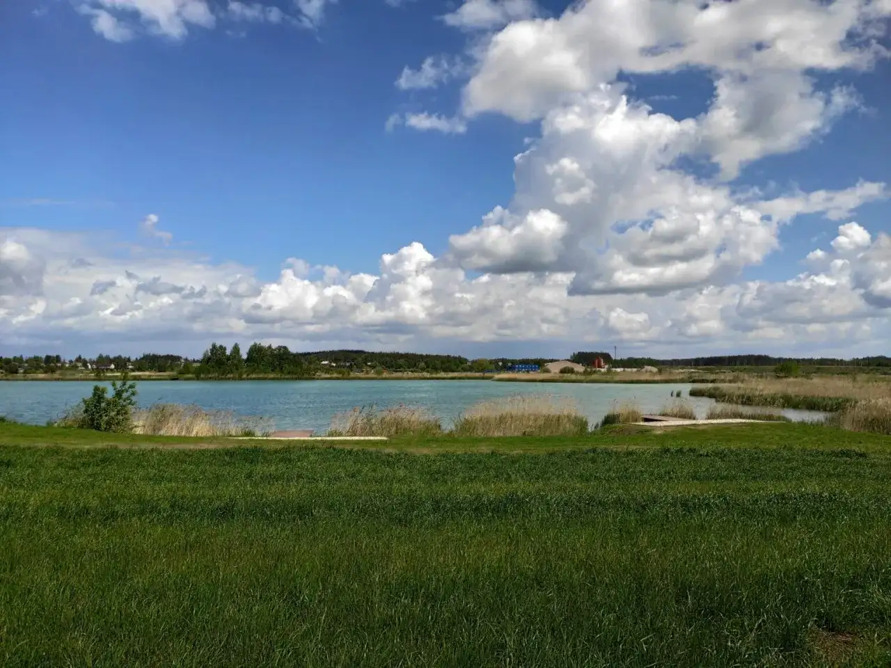 Łowisko karpiowe Wiktoria – idealne miejsce na wędkarską przygodę