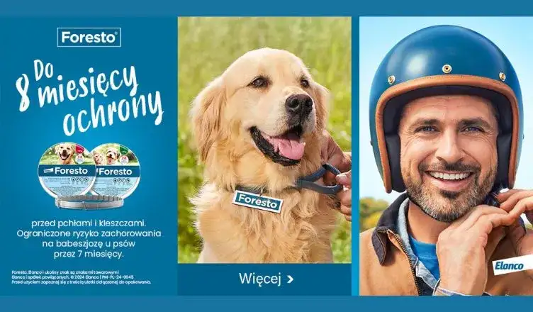 Obroża Foresto kiedy zaczyna działać? Sprawdź, co musisz wiedzieć