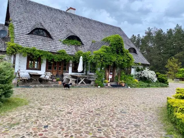 Gdzie zjeść w Janowie Podlaskim? Najlepsze miejsca na posiłek