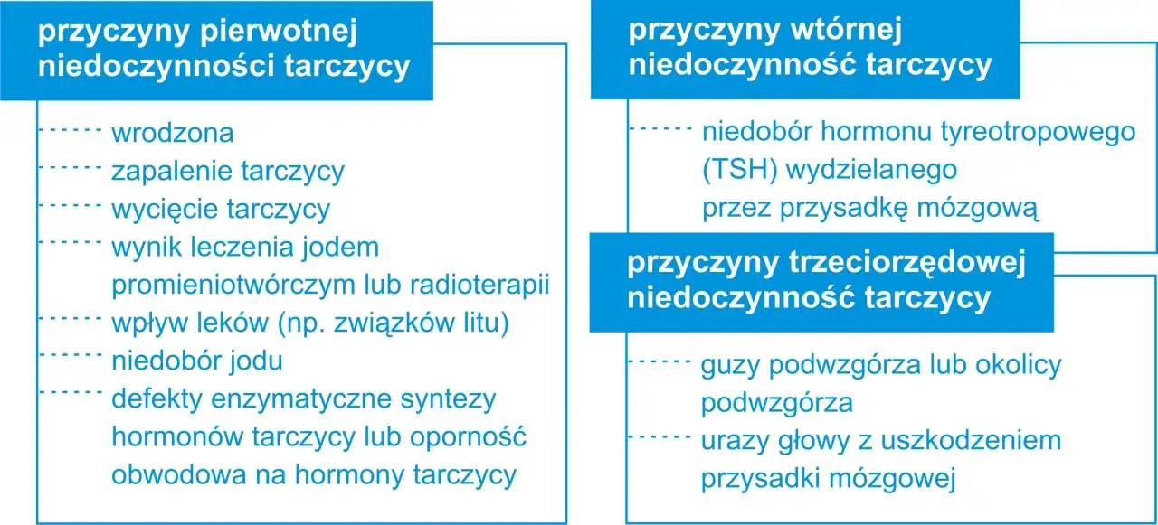 Niedoczynność tarczycy przyczyny: Co może prowadzić do problemów?