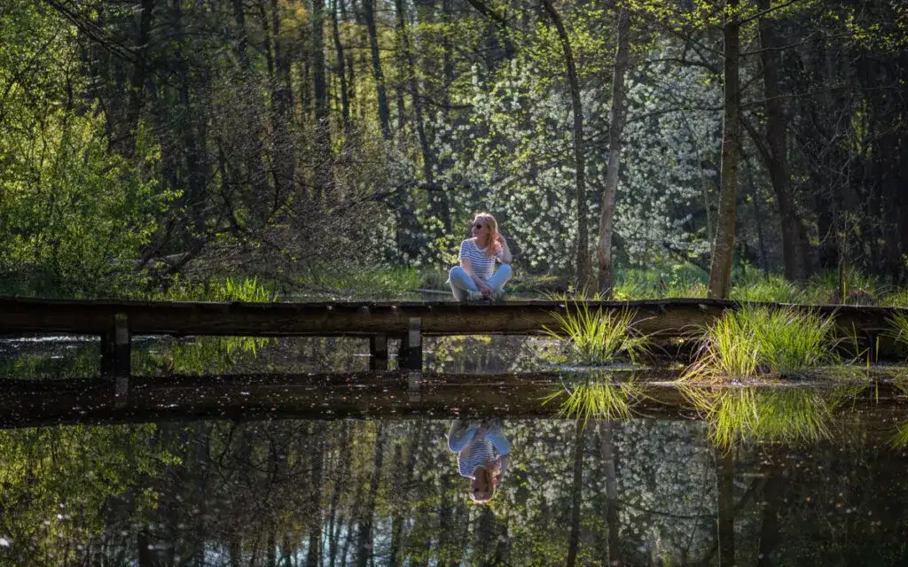 Roztocze: TOP atrakcje i gotowe trasy. Twój przewodnik po polskiej Toskanii