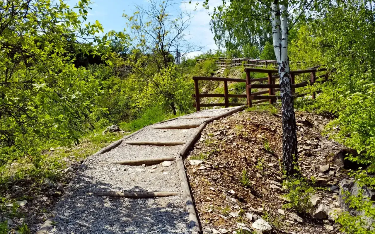 Najciekawsze atrakcje w Jaworznie, które musisz zobaczyć