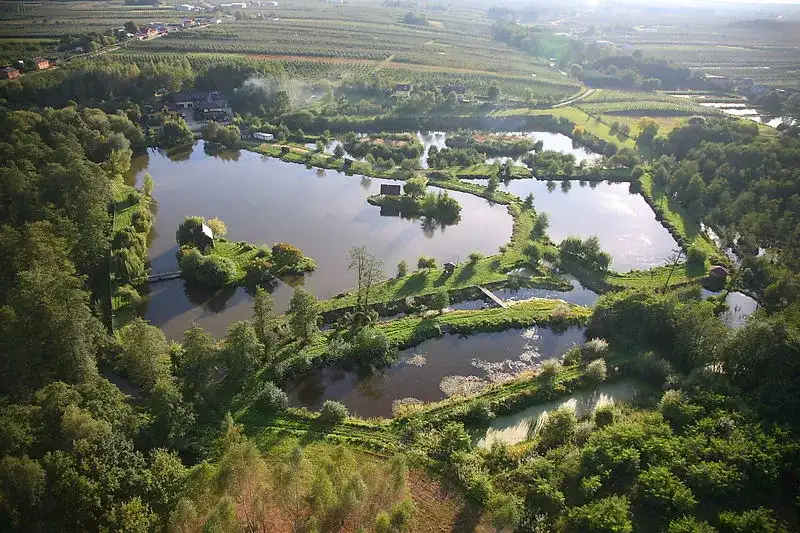 Cennik łowiska Rusiec: Sprawdź, ile zapłacisz za wędkowanie