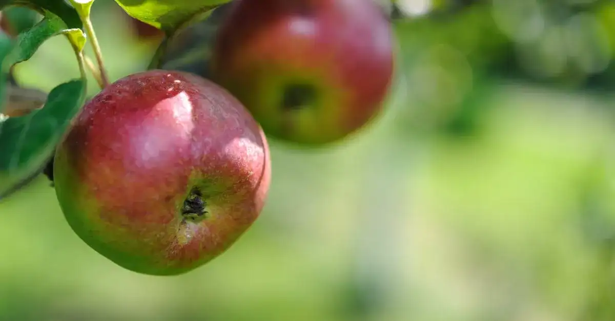 Czemu sok jabłkowy z Thermomixa to zdrowie zamknięte w szklance?