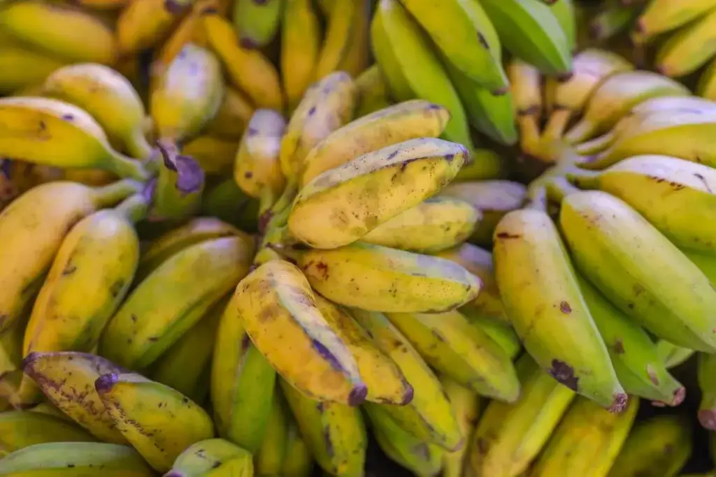 W jakim kraju rosną banany? Odkryj największych producentów