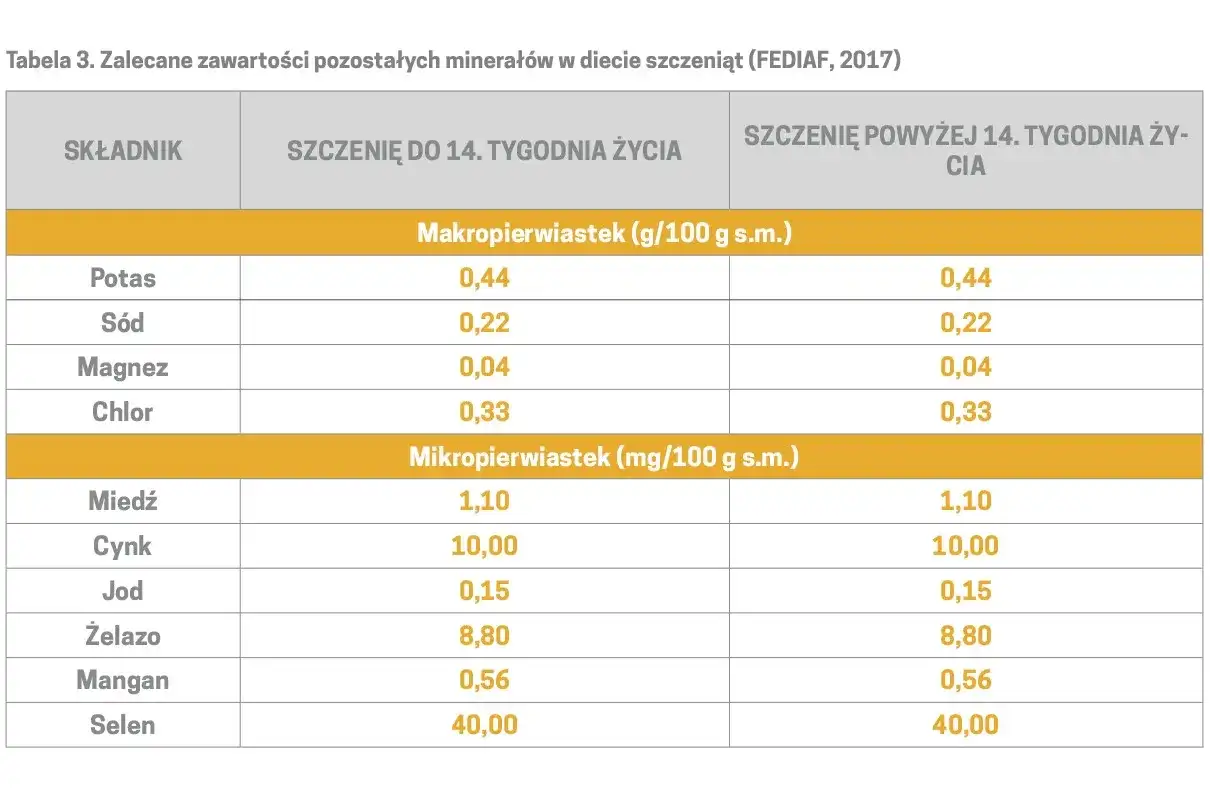 Ile karmy dla szczeniaka? Tabele, błędy i zdrowy rozwój!