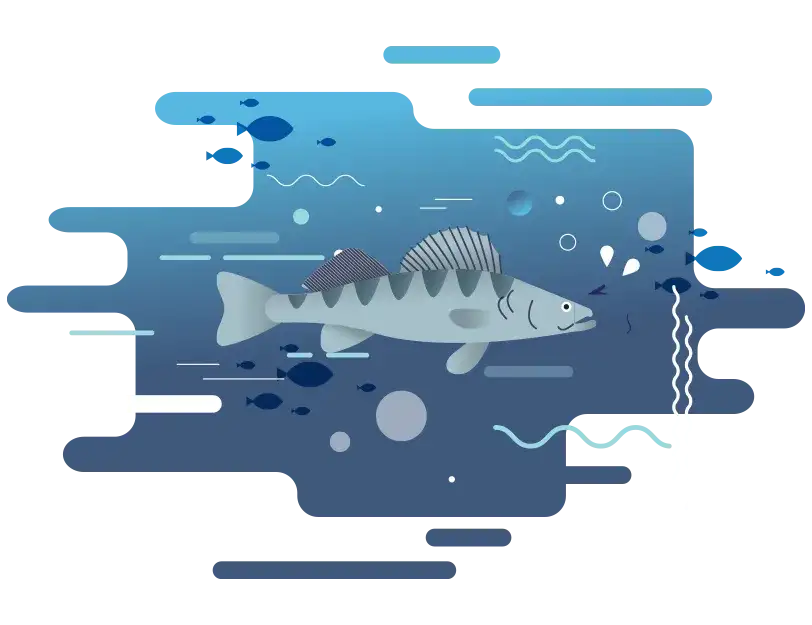 Co pływa w Bałtyku? Odkryj nieznane gatunki ryb i ich smaki