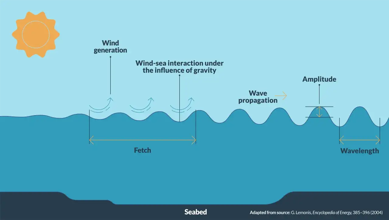 Ilustracja pokazuje, jak powstają fale na morzu: wiatr generuje energię, która oddziałuje z wodą, tworząc fale o określonej amplitudzie i długości.