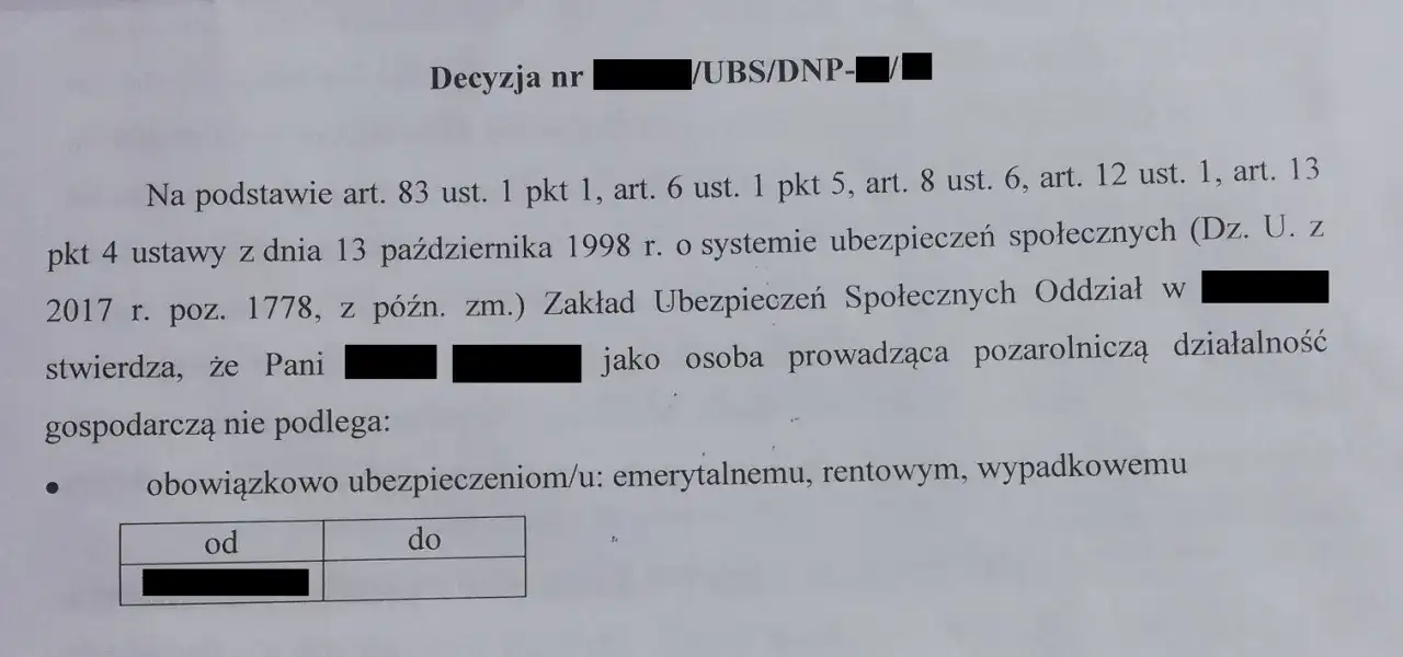Decyzja ZUS o żłobkowym: Kiedy ją dostaniesz i co dalej?