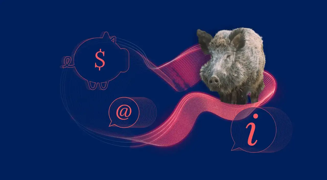 Dzik na tle grafiki z symbolem dolara i znakiem @. Czy myśliwy może dostrzelić ranne w kolizji zwierzę? Informacja.