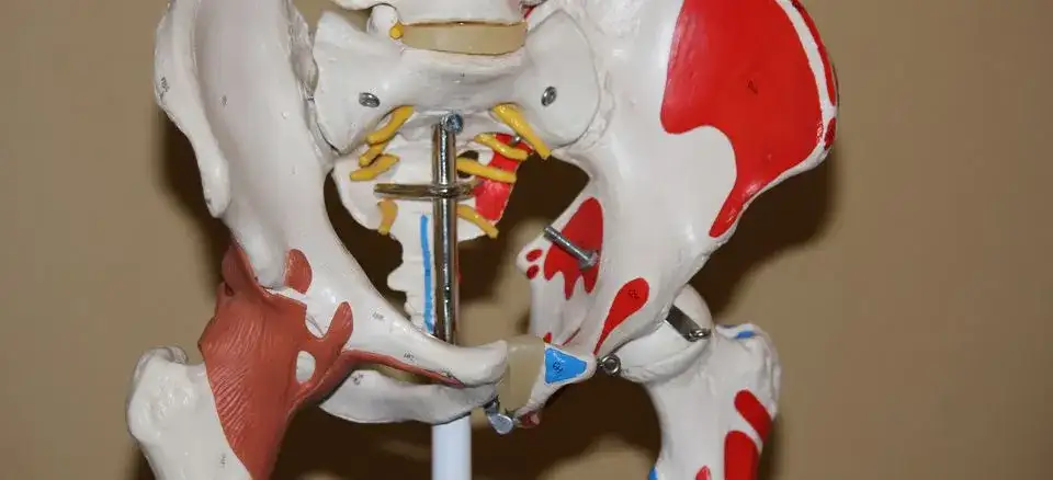 Jak długo trwa rehabilitacja po endoprotezie stawu biodrowego? Oczekiwania i fakty