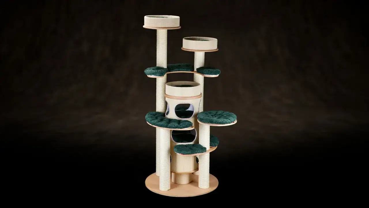 Jak zrobić plac zabaw dla kota, który zapewni mu radość i bezpieczeństwo