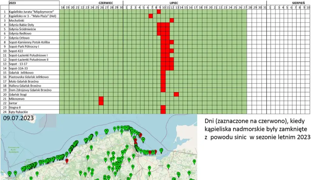 Bałtyk: Jaka woda? Zasolenie, temperatura, sinice pełna prawda