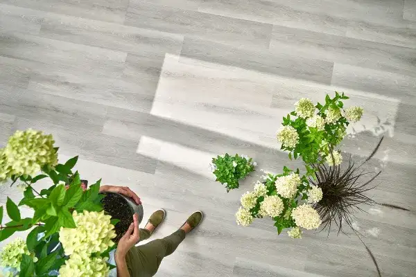 Czy panele winylowe się rysują? Odkryj, jak uniknąć zarysowań