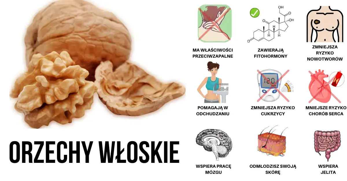 Orzechy włoskie są zdrowsze niż myślisz: 7 kluczowych korzyści dla zdrowia