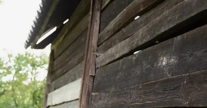 Jak przewieźć zupę w garnku bez wylania i utraty ciepła