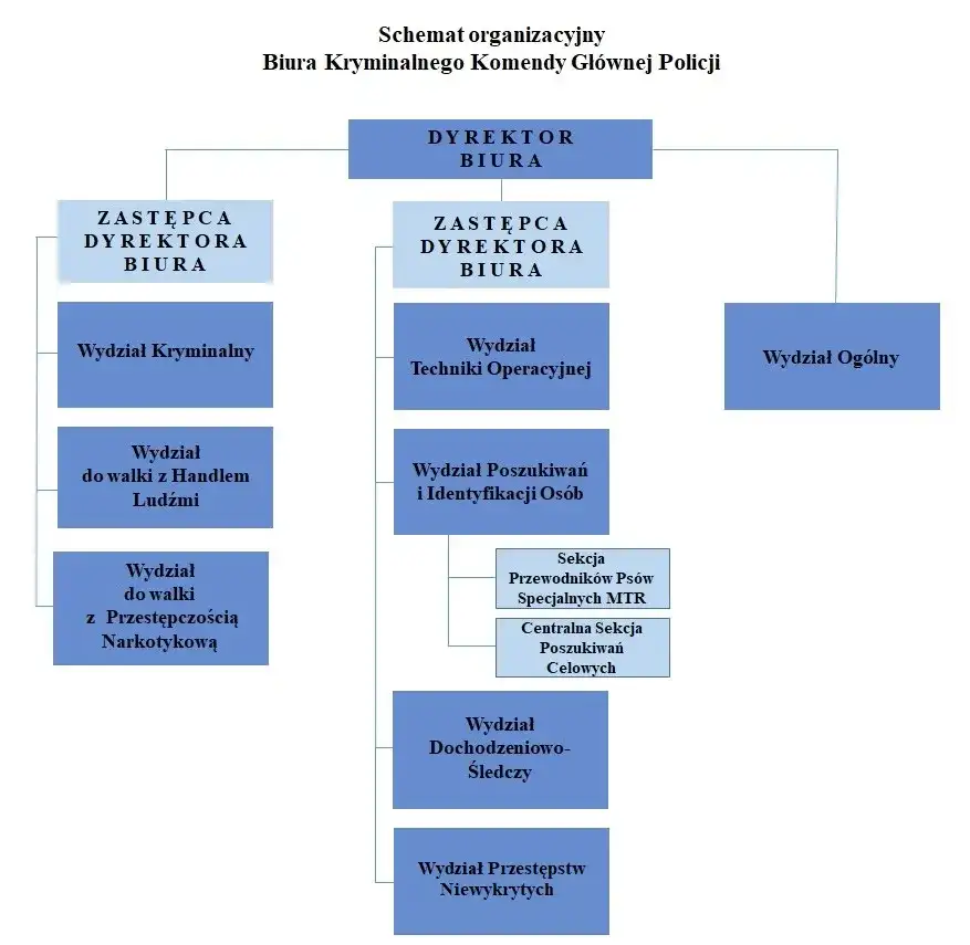 Kompletny przewodnik po wydziałach w policji: struktura i zadania komórek