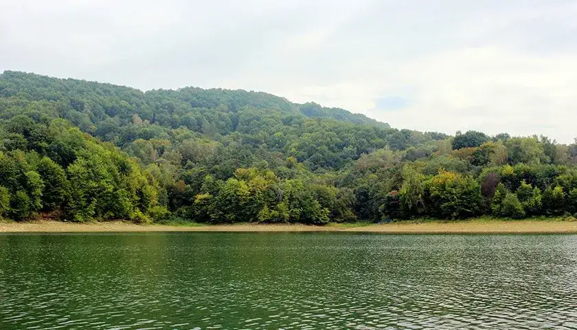 Gdzie na ryby w świętokrzyskim? Odkryj najlepsze miejsca i porady