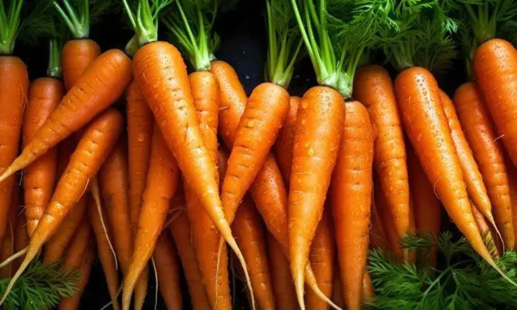 Czy marchew jest zdrowa? Poznaj niesamowite korzyści dla zdrowia!