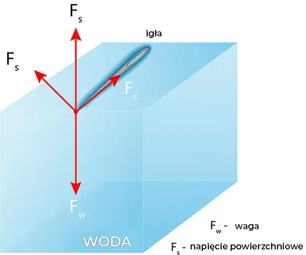 Wszystko co musisz wiedzieć o zjawisku napięcia powierzchniowego - kompendium