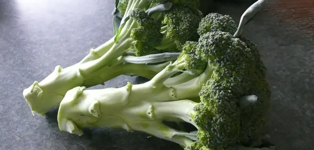 Jak uprawiać brokuł: sekrety sukcesu w ogrodzie, unikaj błędów