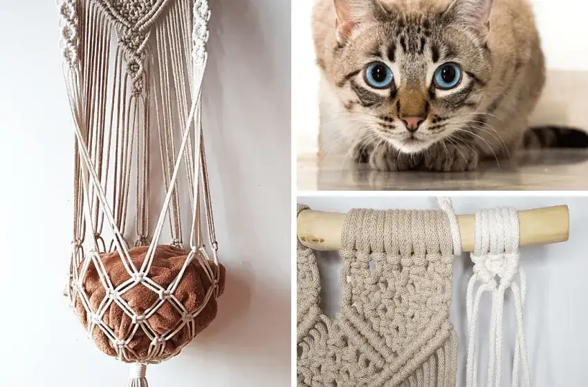 Jak zrobić hamak dla kota w 5 prostych krokach - poradnik krok po kroku