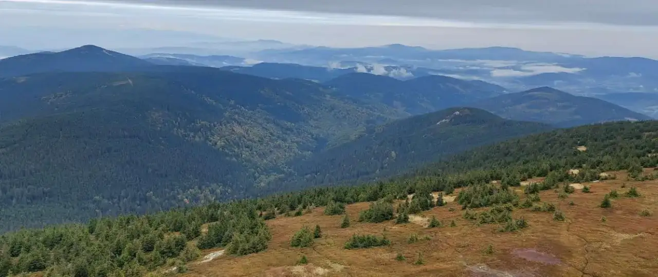 Rezerwat przyrody Śnieżnik Kłodzki - odkryj jego niezwykłe tajemnice