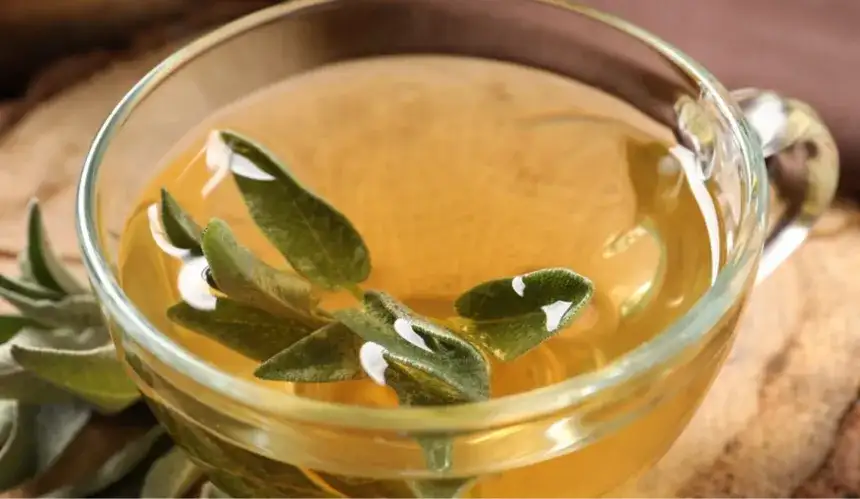 Czy można pić herbatę z szałwii? Poznaj skutki uboczne i zalecenia