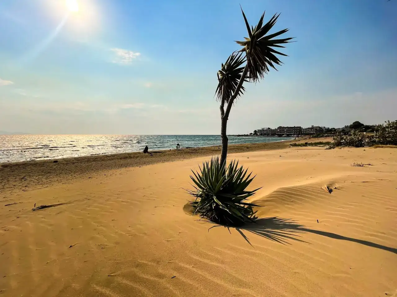 Najlepsze atrakcje w Artemidzie Grecja, które musisz zobaczyć