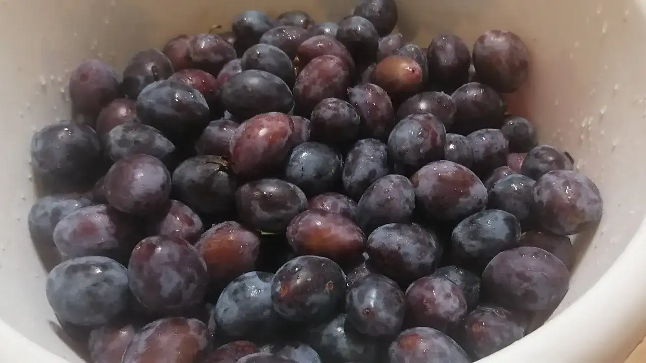 Jak mrozić śliwki, aby nie straciły smaku i aromatu?