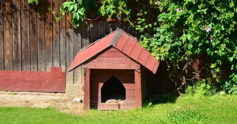 Jak zrobić ocieplaną budę dla psa – krok po kroku z materiałami