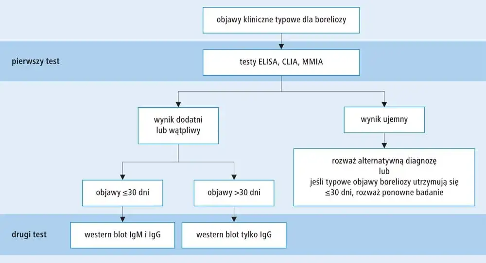 Metoda CLIA: jak działa i dlaczego jest tak ważna w diagnostyce?