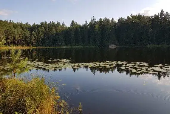 Zaimki przymiotne wskazujące w języku francuskim – jak je stosować?