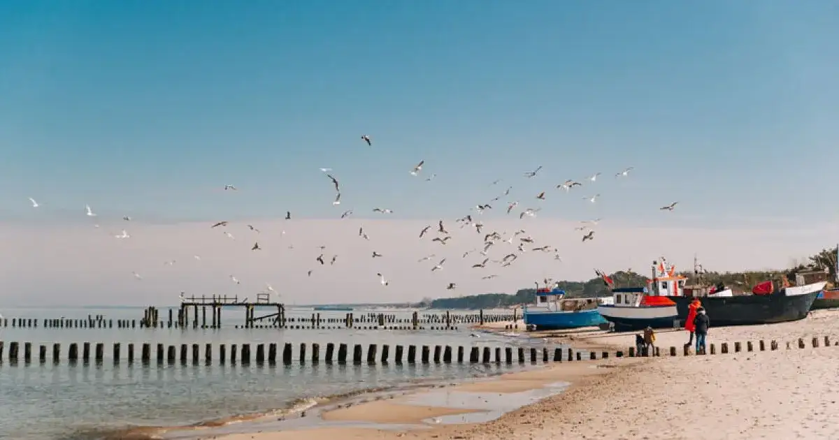 Najlepsze atrakcje okolic Szczecina, które musisz zobaczyć tej wiosny