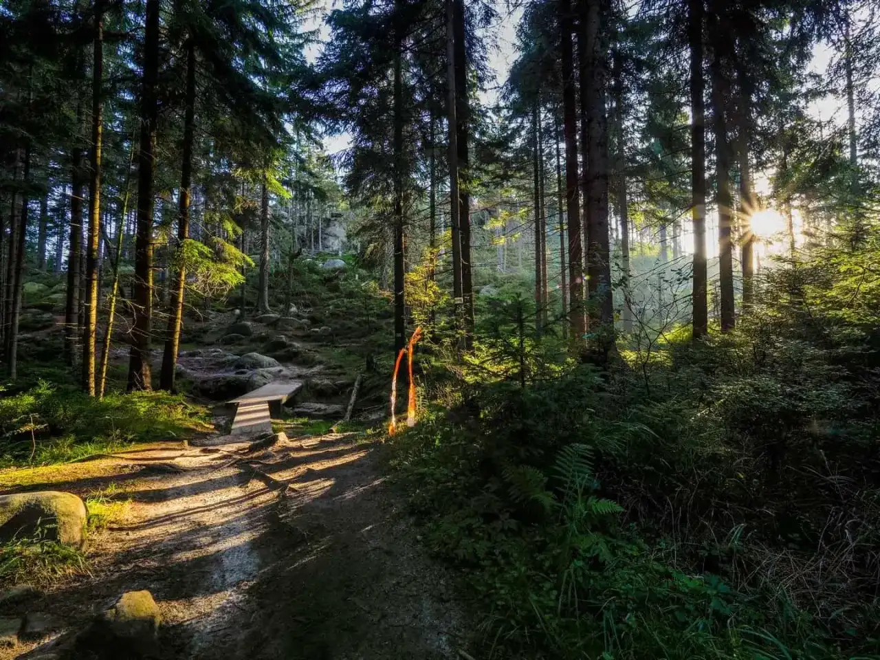 Najciekawsze atrakcje Gór Stołowych, które musisz zobaczyć