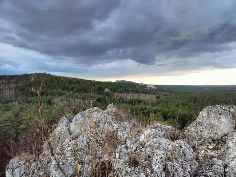 Najciekawsze atrakcje w Myszkowie, które musisz zobaczyć