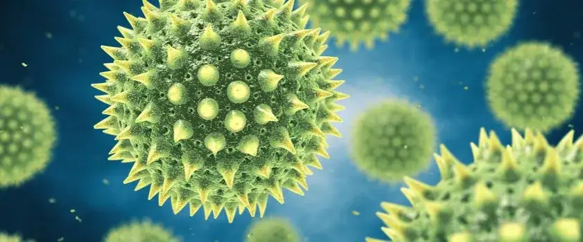 Badanie IgE - co to jest i jak pomaga w diagnozowaniu alergii