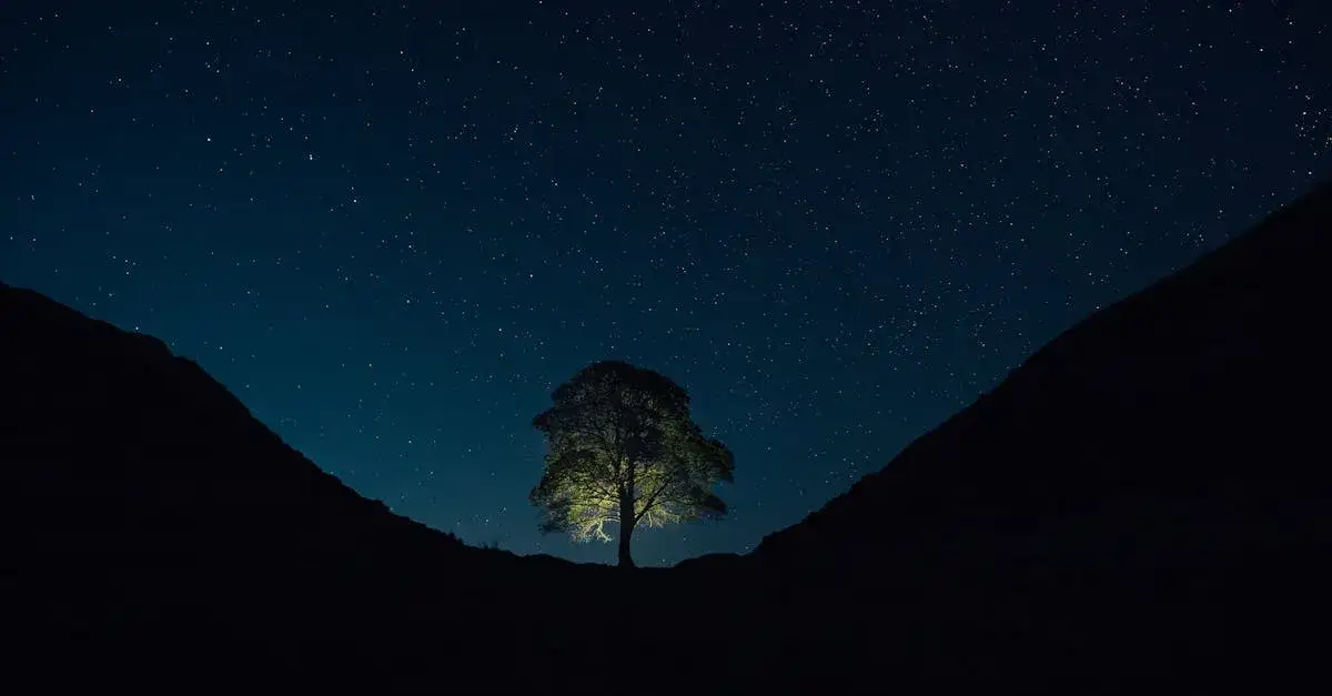 Gwiazdy na niebie vs polskie gwiazdy kina - co łączy?