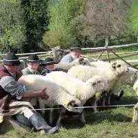 Bacówka u Jancoka w Bukowinie Tatrzańskiej - komfort i regionalne smaki