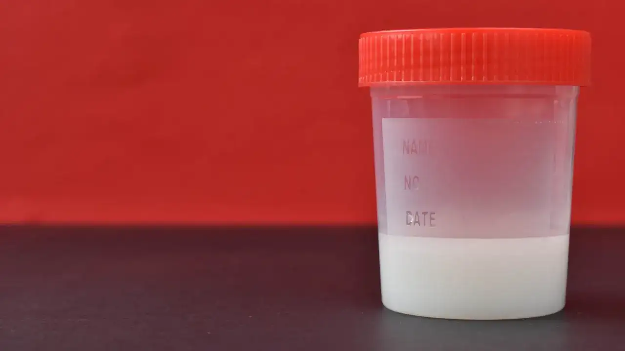 Bank spermy: ile realnie można zarobić na regularnym oddawaniu nasienia