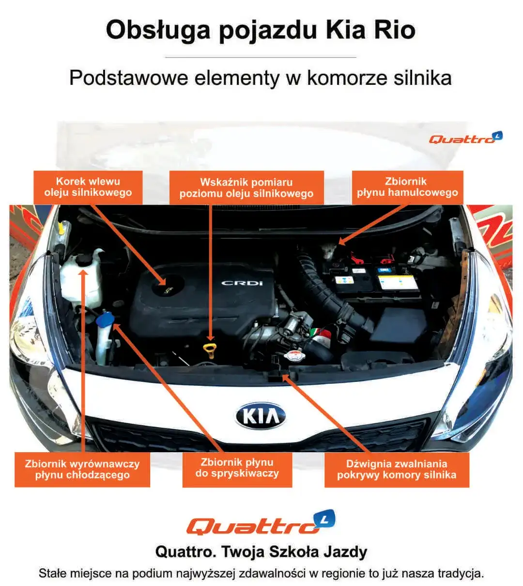 Co jest pod maską samochodu na egzamin? Kluczowe elementy, które musisz znać!