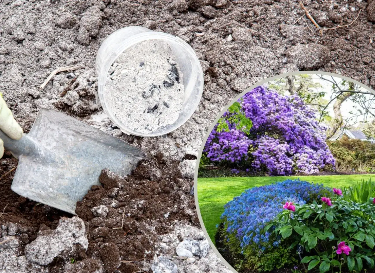 Popiół z pelletu pod jakie rośliny - Naturalny nawóz, który zachwyca wynikami