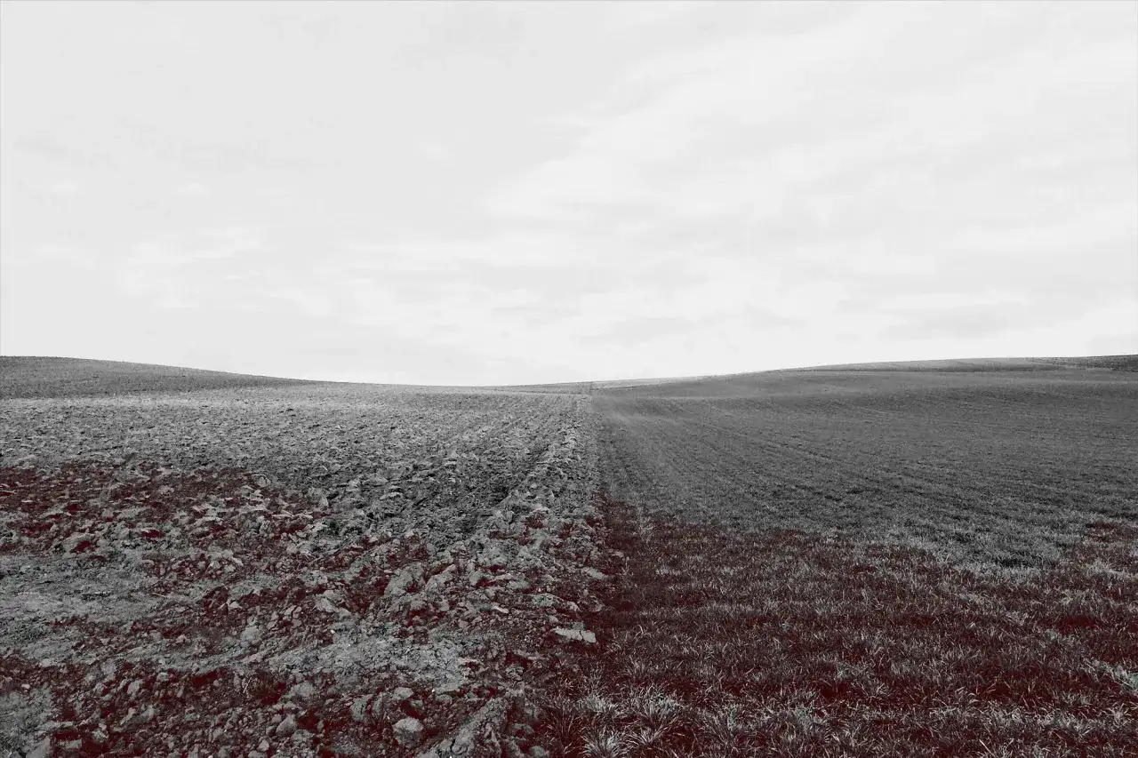 Jak wyłączyć grunty z produkcji rolnej i uniknąć niepotrzebnych problemów